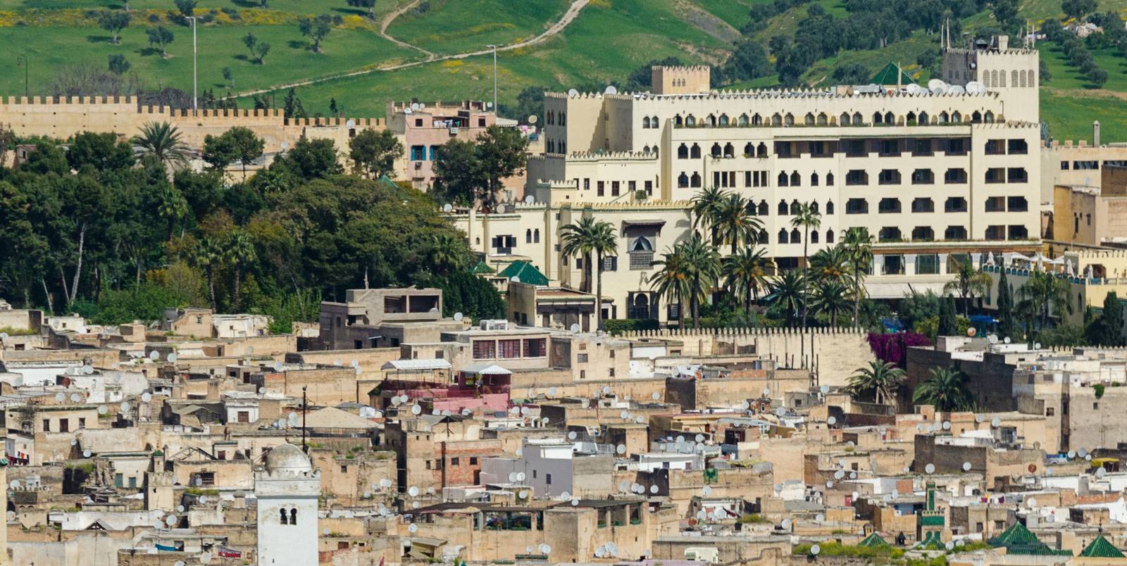 The Palais Jamai on the Fes el-Bali skyline