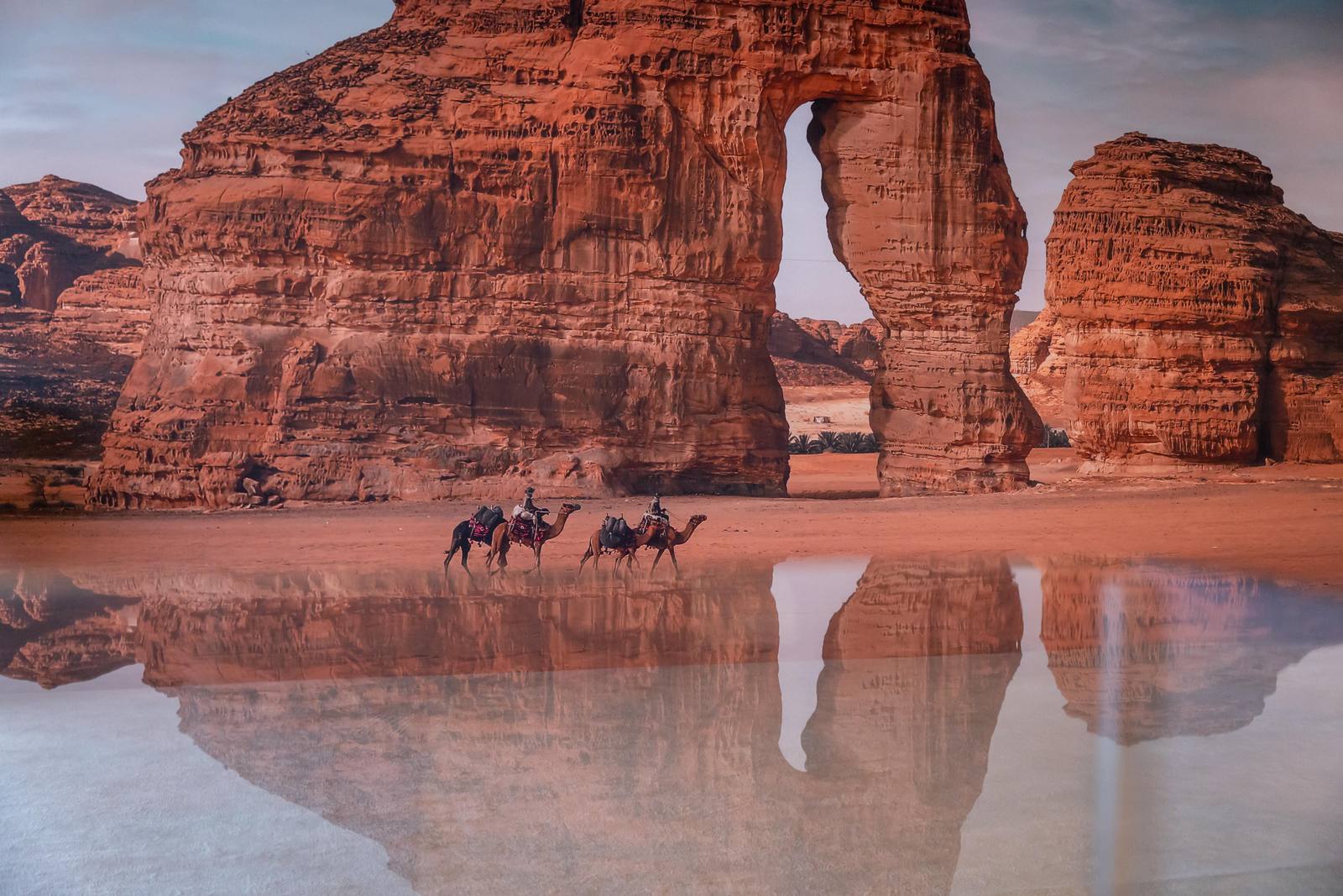 Elephant Rock in AlUla with camels and their reflection in a pool
